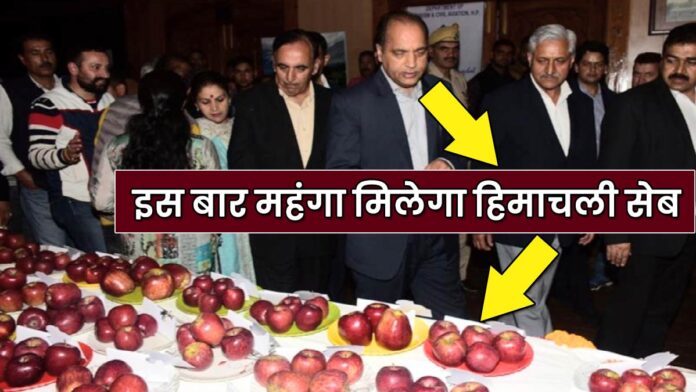 Himachali apple will get expensive