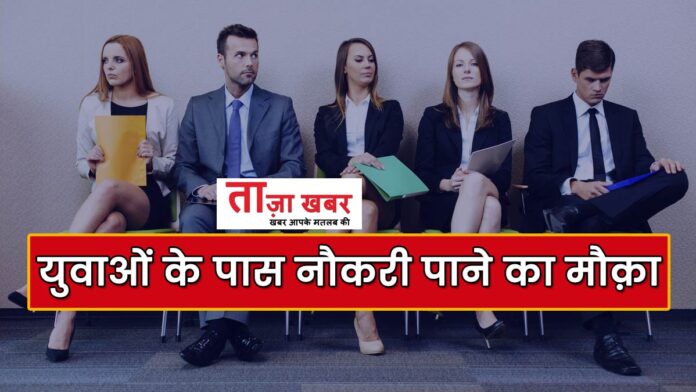 300 Jobs in kangra Himachal pradesh