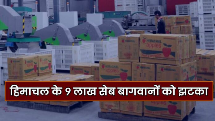apple cartons price increase in Himachal