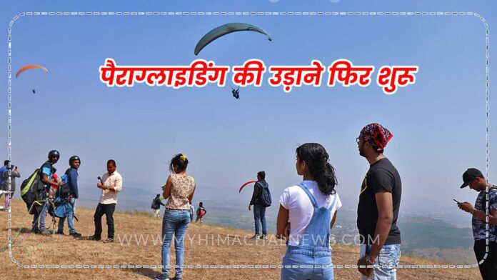Paragliding flights resumed in Bir Billing and Indrunag
