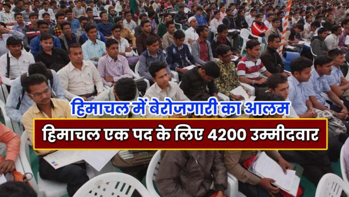 Himachal 4200 candidates for one post