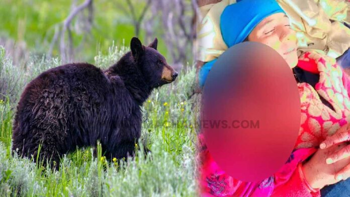 Bear attacked the woman in Chamba