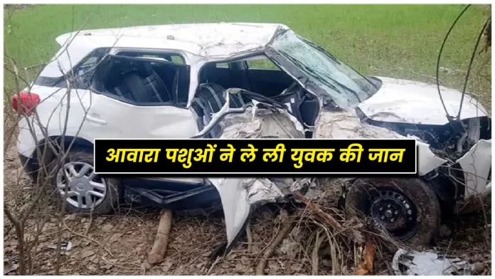 Accident news in Jawali Noorpur Kangra