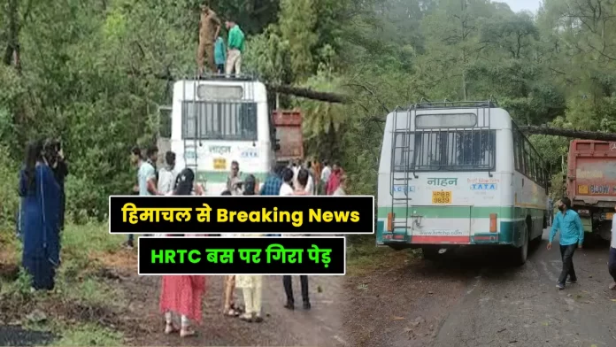 Tree fell on HRTC bus Shri Renuka ji