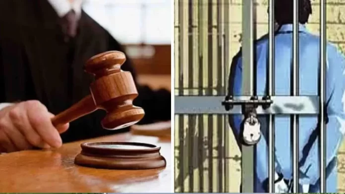 Two years rigorous imprisonment for assault with hammer