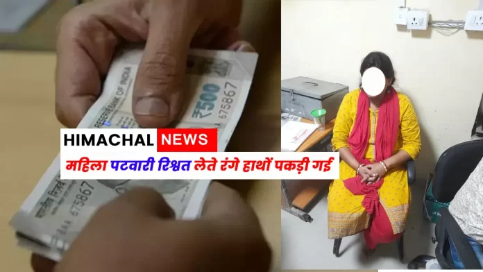 Lady Patwari Take Bribe Nurpur Kangra Himachal