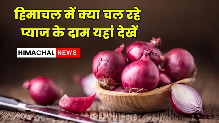 Check onion prices in Himachal here