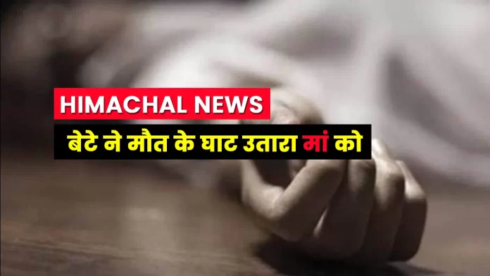 Son killed Mother in Bhattiyat Chamba Himachal