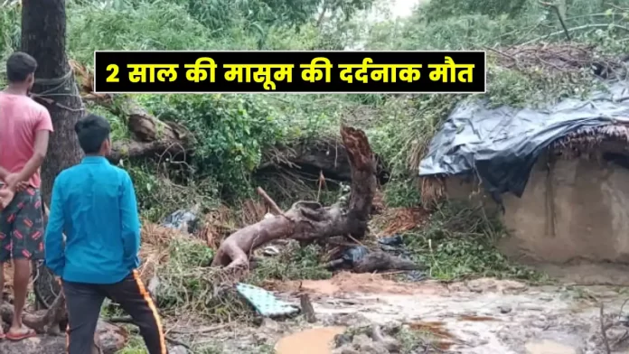 tree fell on a slum in Takka in Una